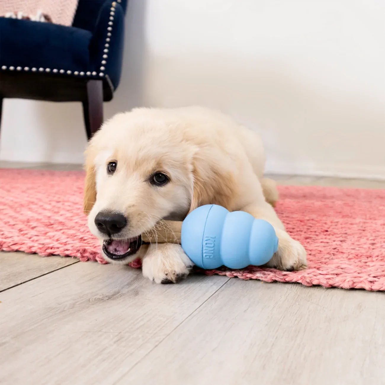 KONG Enhanced Ziggies Puppy – Kausticks für Welpen | S & M/L - Image 2