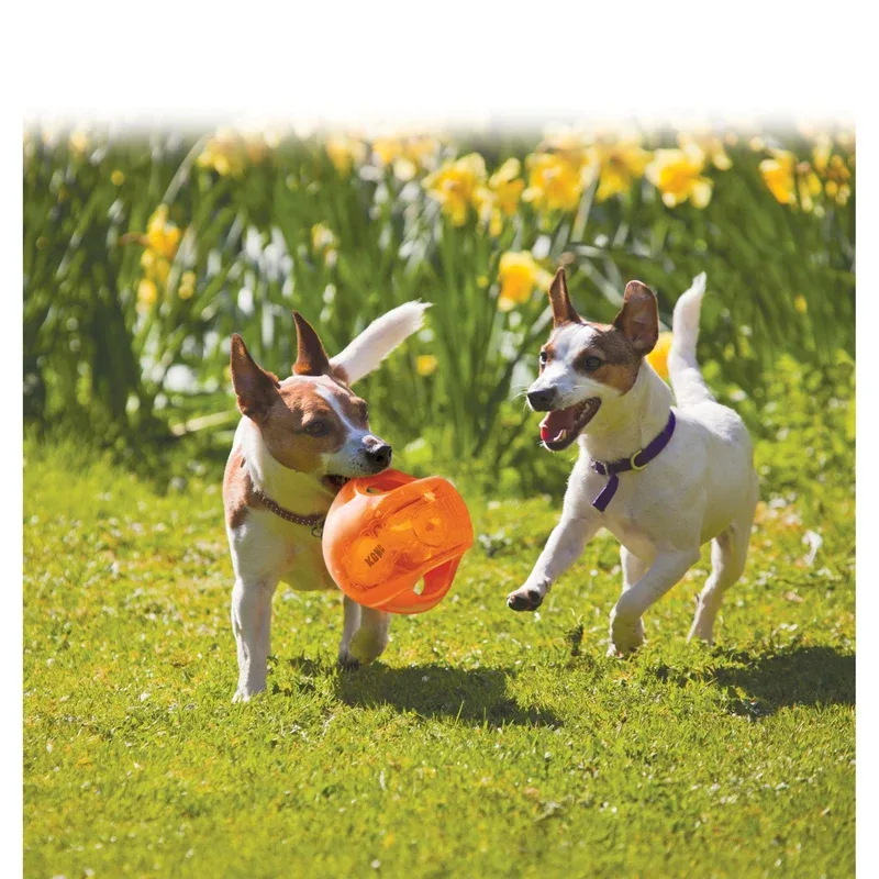 KONG Jumbler – 2-in-1 Hundespielzeug mit Tennisball & Quietscher | Ball & Football - Image 2