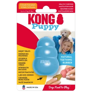 KONG Puppy