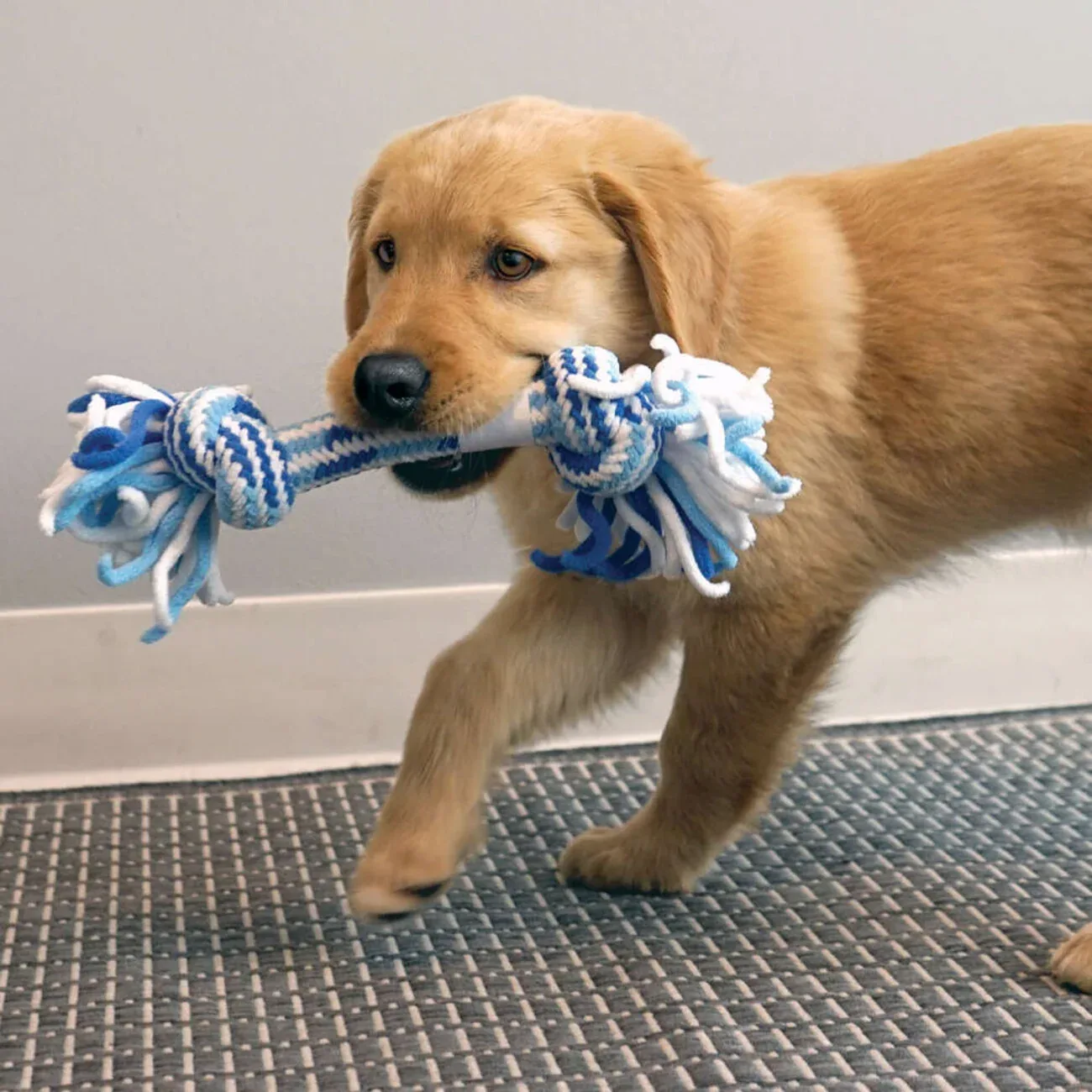 KONG Rope Stick Puppy – Seilspielzeug für Welpen | zahnschonend & strapazierfähig - Image 2