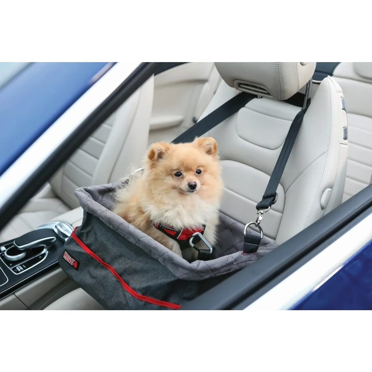 KONG Secure Booster Seat – Hunde Autositz für kleine Hunde bis 12 kg | 40x30x20 cm - Image 2