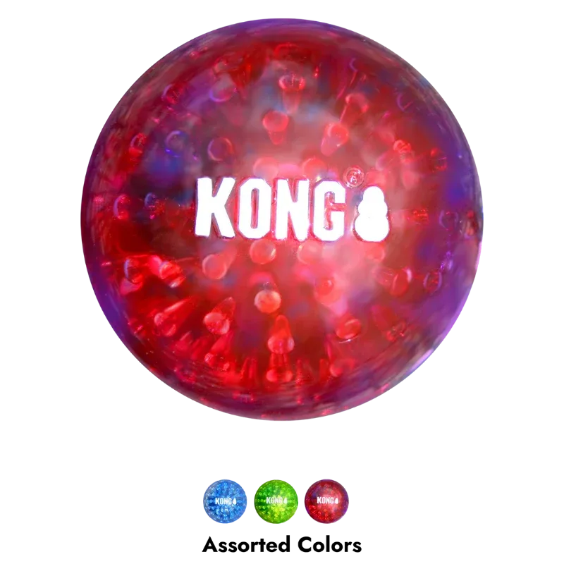 KONG Squeezz Geodz - Image 2