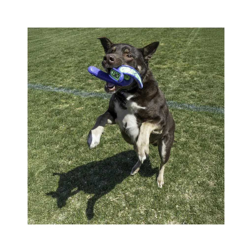 KONG Whirlz Throw Hundespielzeug – Apportierspielzeug mit rotierendem Sprungverhalten - Image 2