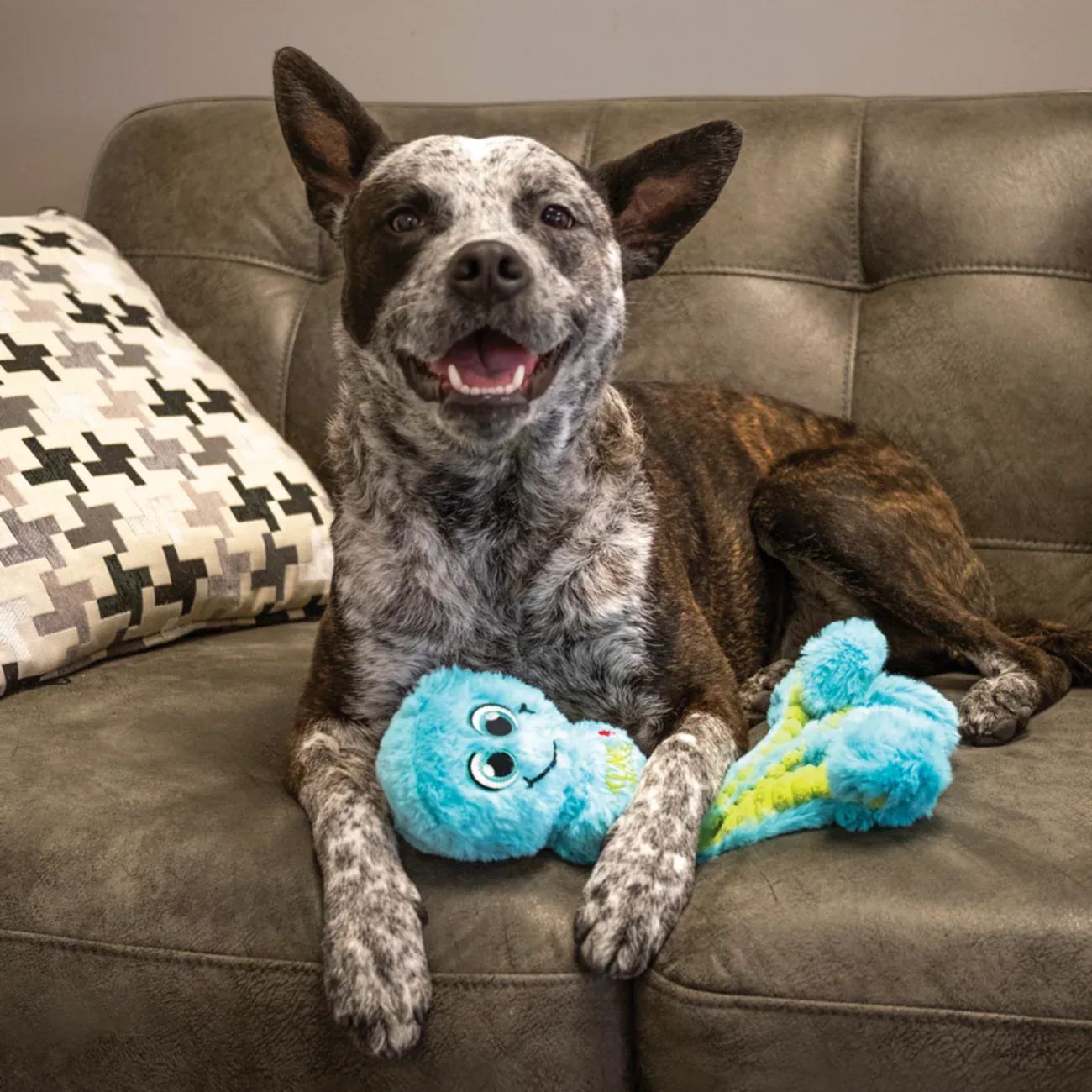 KONG Wubba Octopus – Plüsch-Zerrspielzeug für Hunde mit Quietscher | S & L - Image 2