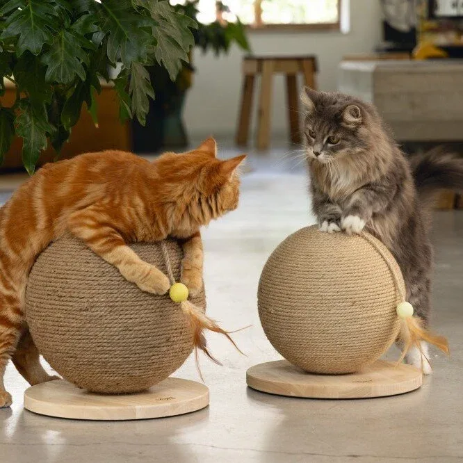 Kratzball Balty - Image 2
