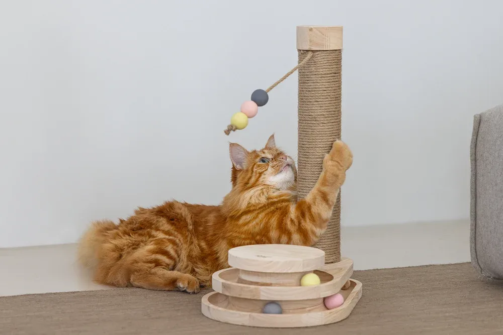 Kratzbaum Inez aus Holz mit Spielturm | Designed by Lotte - Image 2