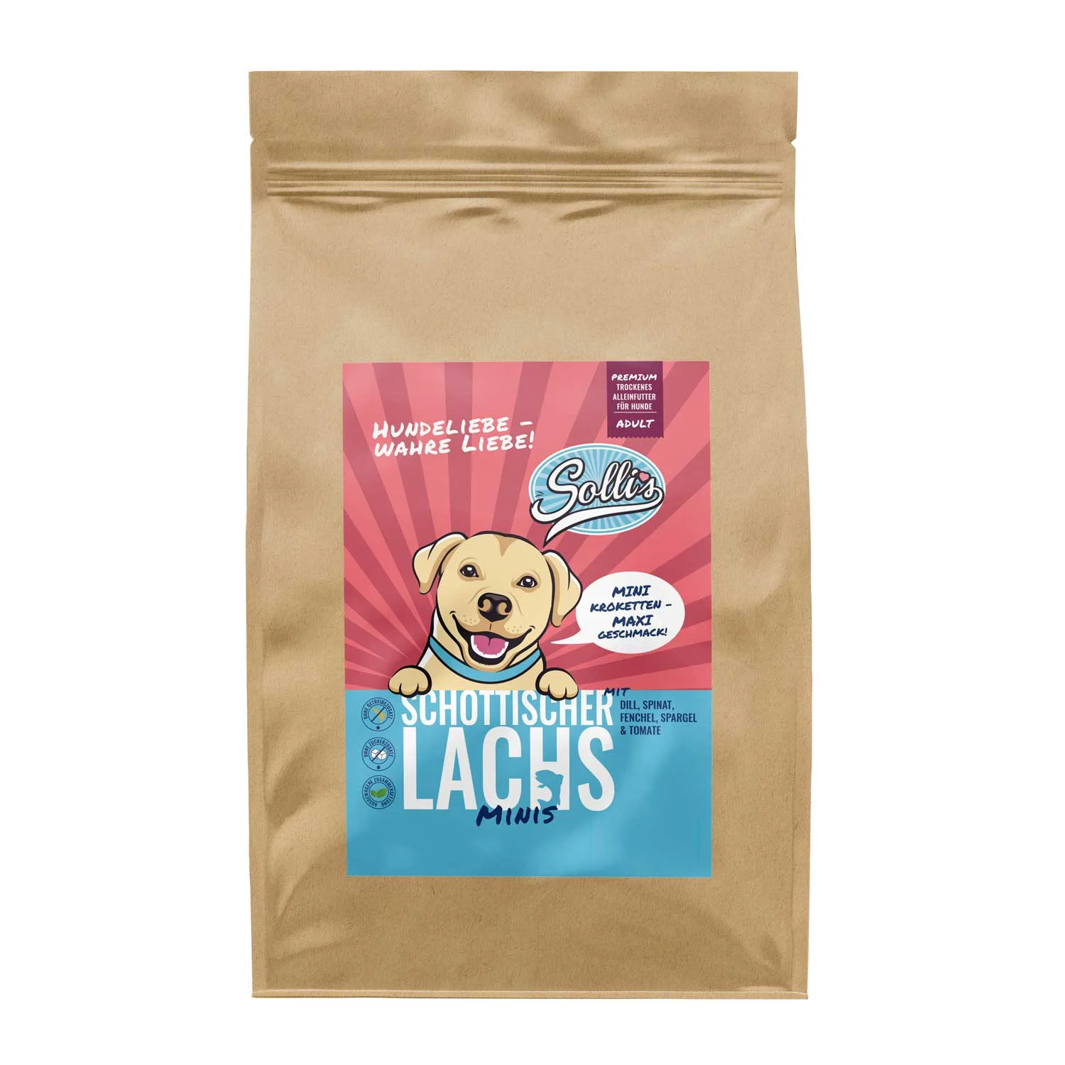 Lachs-Minis