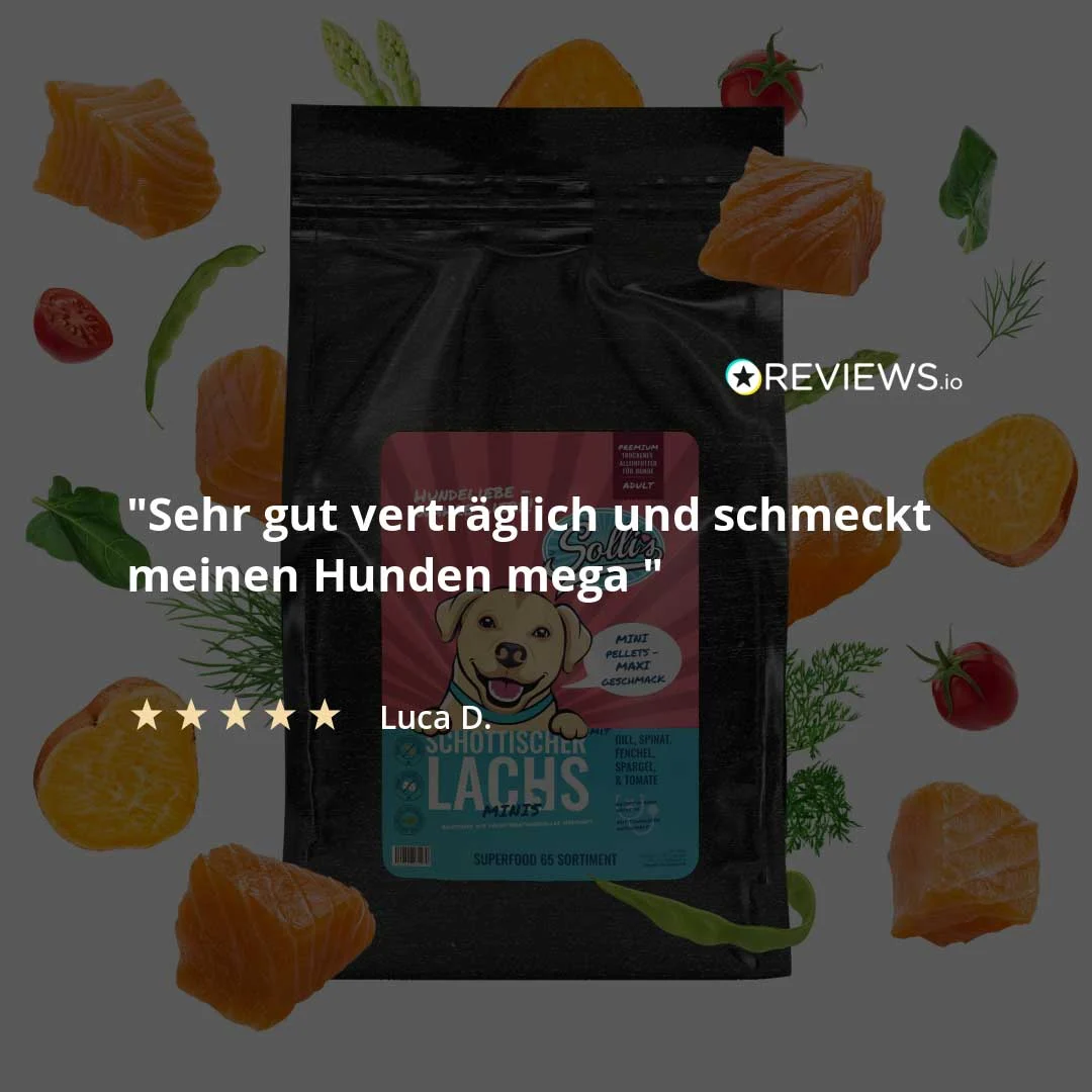 Lachs-Minis - Image 2
