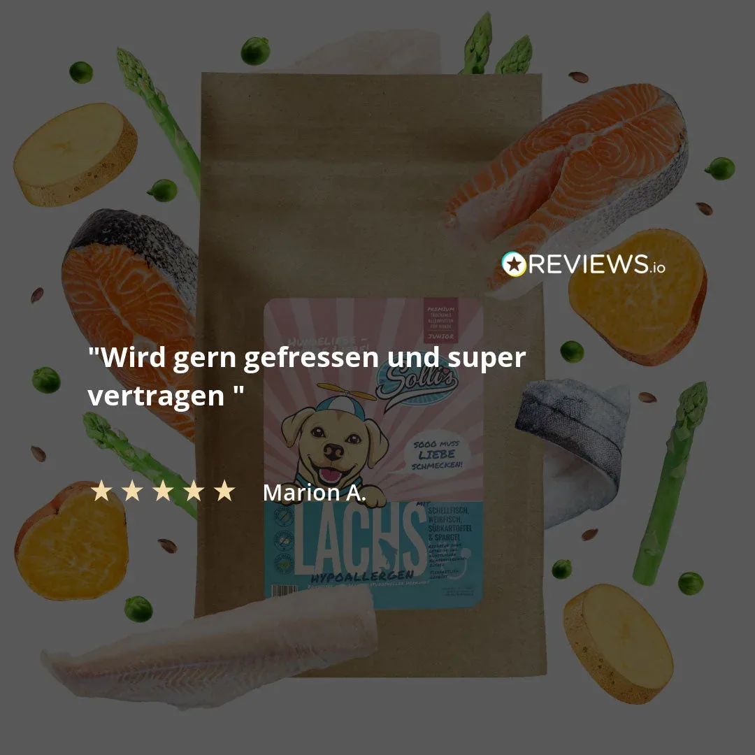 Lachs-Regular - Image 2