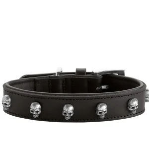 Leder Hundehalsband Mombasa