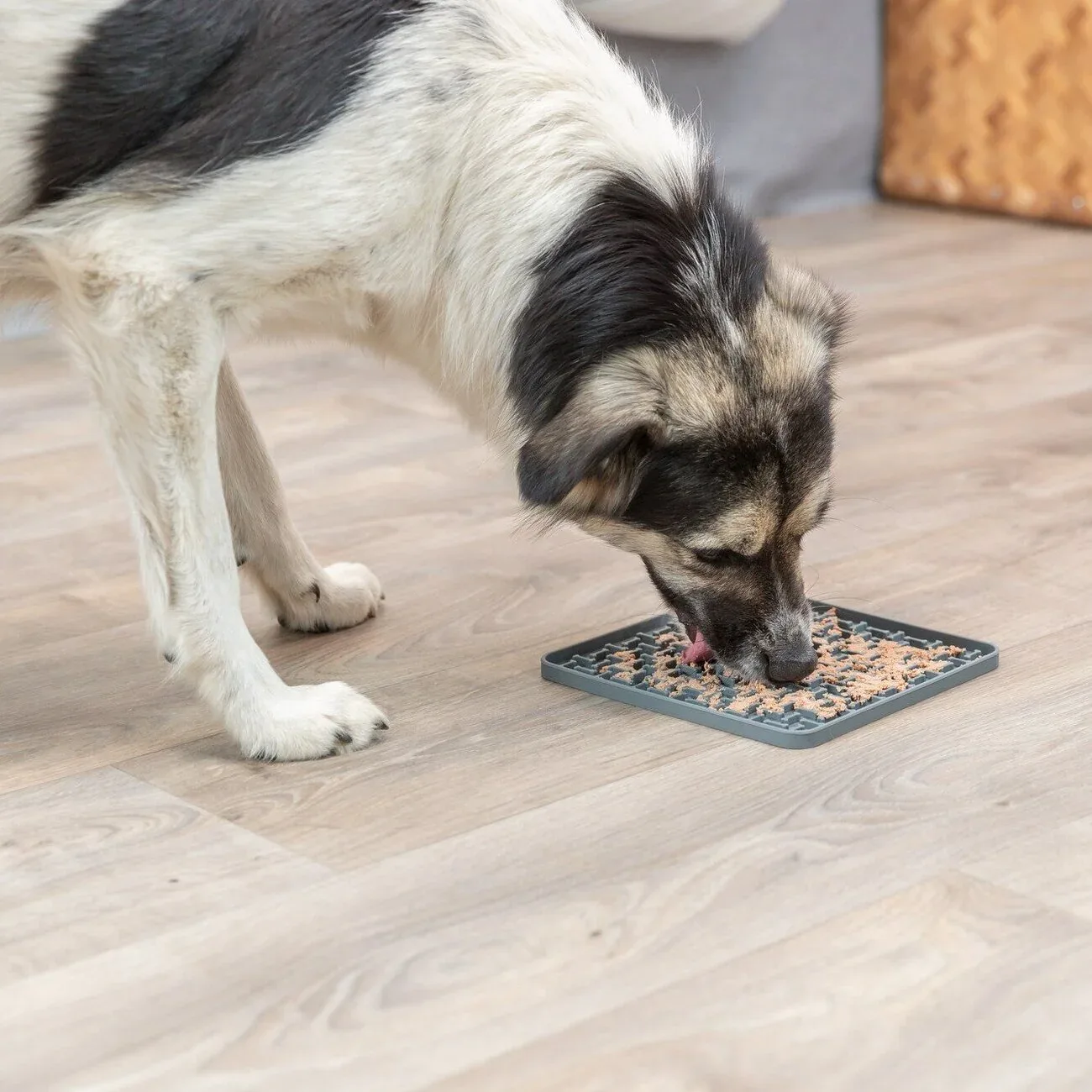 Lick'n'Snack Matte grau - Image 2
