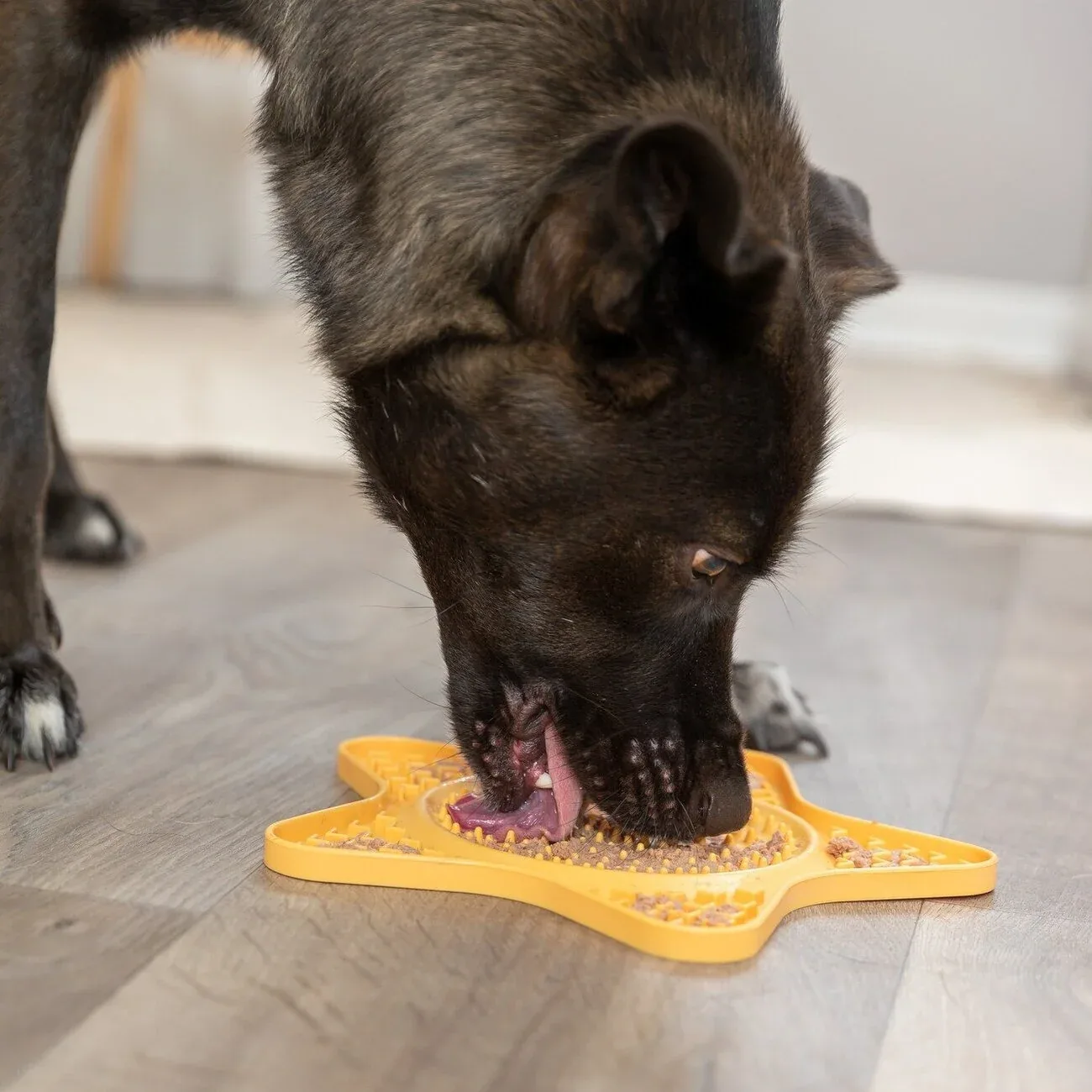 Lick'n'Snack Matte Stern - Image 2