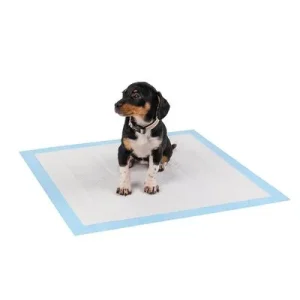 lionto Trainingspads für Hunde, 6-lagig, ultra saugstark 60x60 cm / 100 Stück