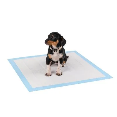 lionto Trainingspads für Hunde, 6-lagig, ultra saugstark 60x60 cm / 100 Stück