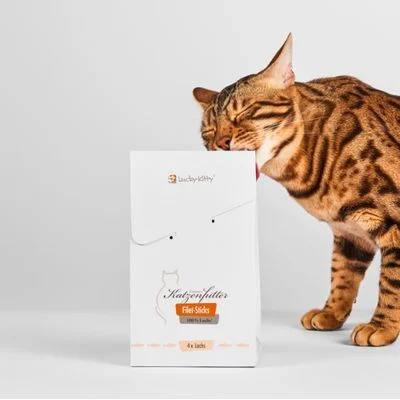 Lucky-Kitty Filet-Sticks Lachs (5x4Stk.) 1 Stück