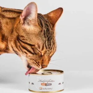 Lucky-Kitty Katzenfutter Maus 4x100g 1 Stück