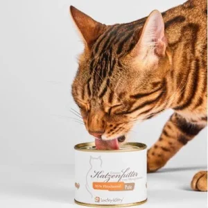 Lucky-Kitty Katzenfutter Pute 4x200g 1 Stück