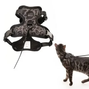 LucyBalu Katzengeschirr EXPLORER