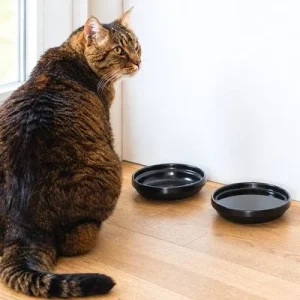 LucyBalu Katzennapf BOWL PORZELLAN - 2er-Set 2 Stück - Schwarz Seidenmatt