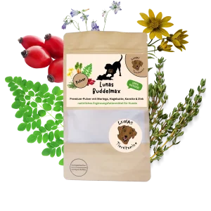 Lunas Buddelmax - mit Karotte, Moringa & Hagebutte 200g