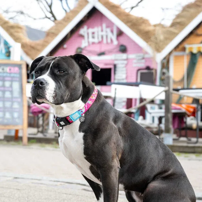 Magical Hundehalsband mit Smart ID - Image 2