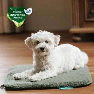 Manuly Set | Hunde Isomatte mit Teddy (olivgrün) Bezug Größe S (60x40x2,5 cm)