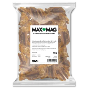 MAX MAG Schweineohrmuscheln