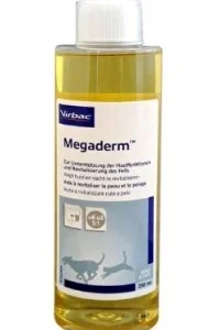 Megaderm
