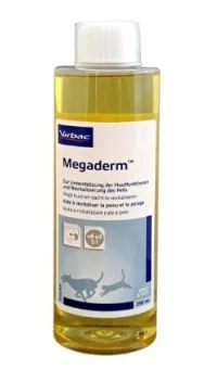 Megaderm