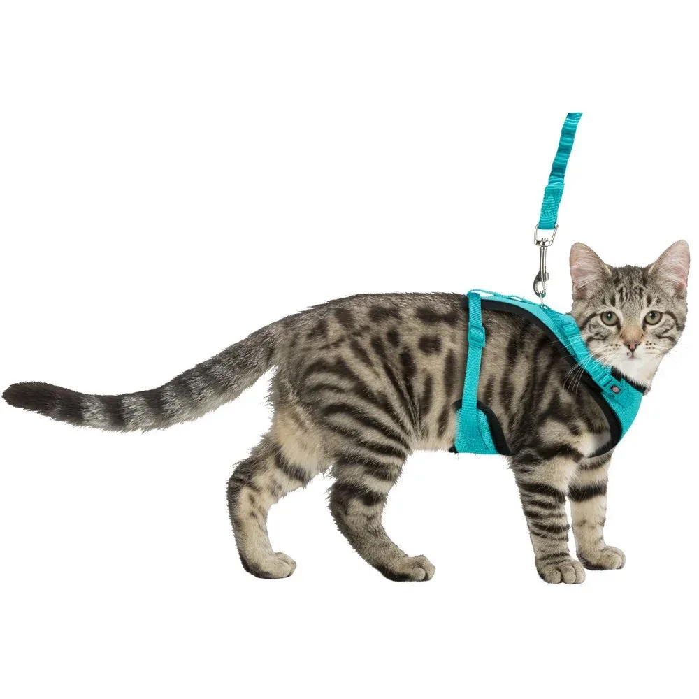 Mesh Y Katzen Geschirr - Image 2
