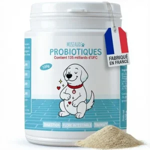 Museau & Co | Probiotika | Verdauung & Abwehrkräfte | Hund & Katze Pulver 100 g – 135 Milliarden KBE + Präbiotika 🦠