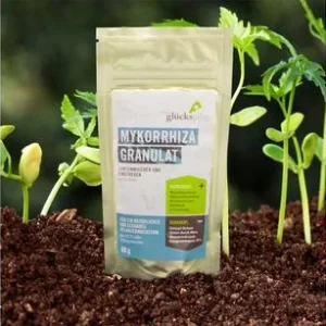Mykorrhiza Granulat, 60 g | Dehner