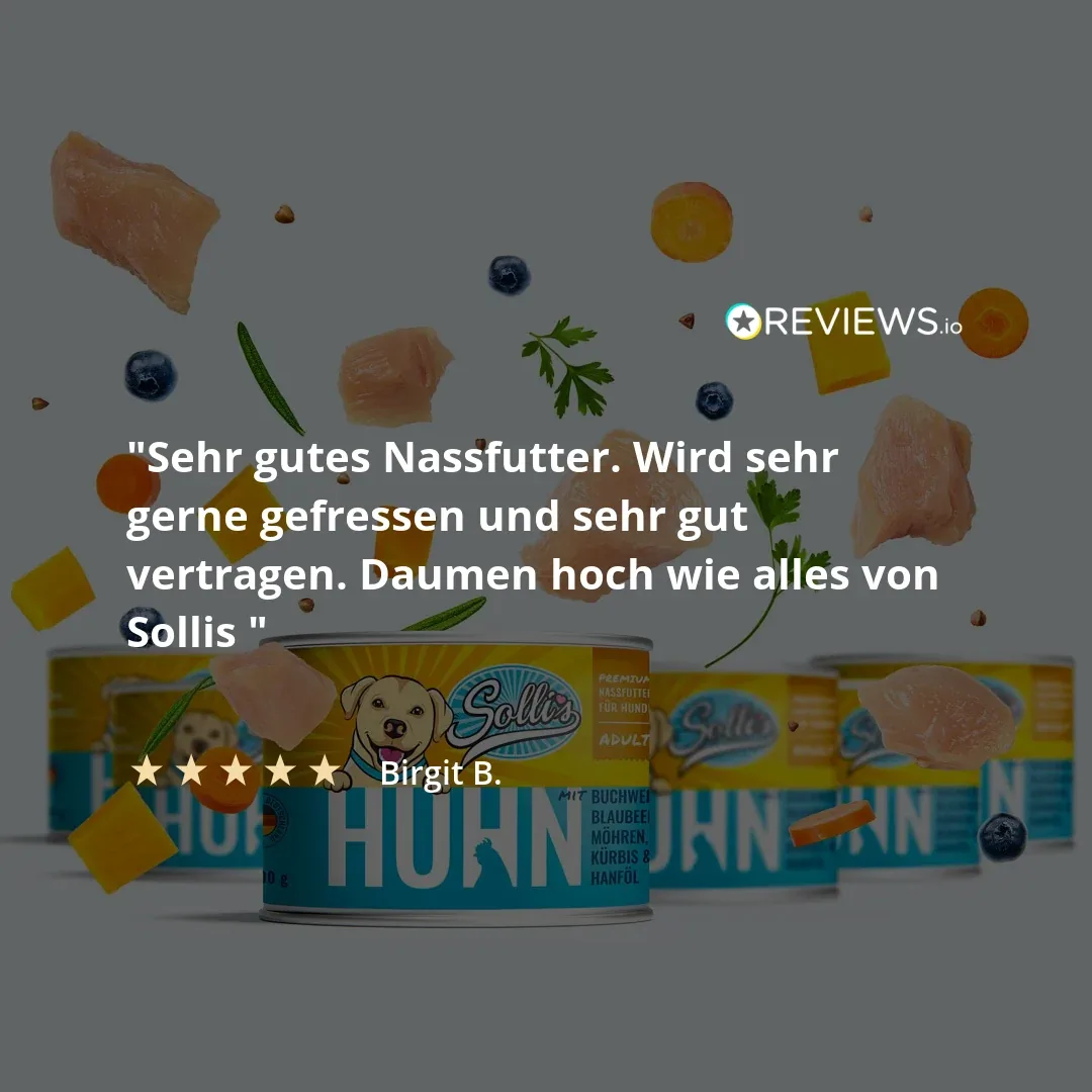 Nassfutter Huhn - Image 2