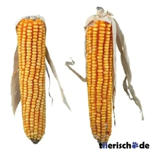 Natur-Snack Maiskolben für Kaninchen, Kleinnager
