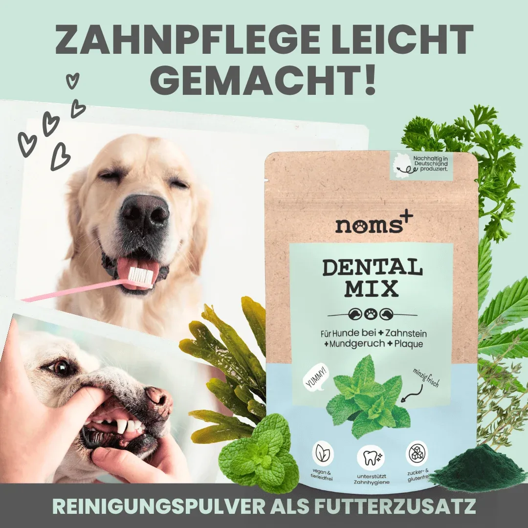 noms+ Dentalmix für Hunde zur Zahnpflege und für frischen Atem - Image 2