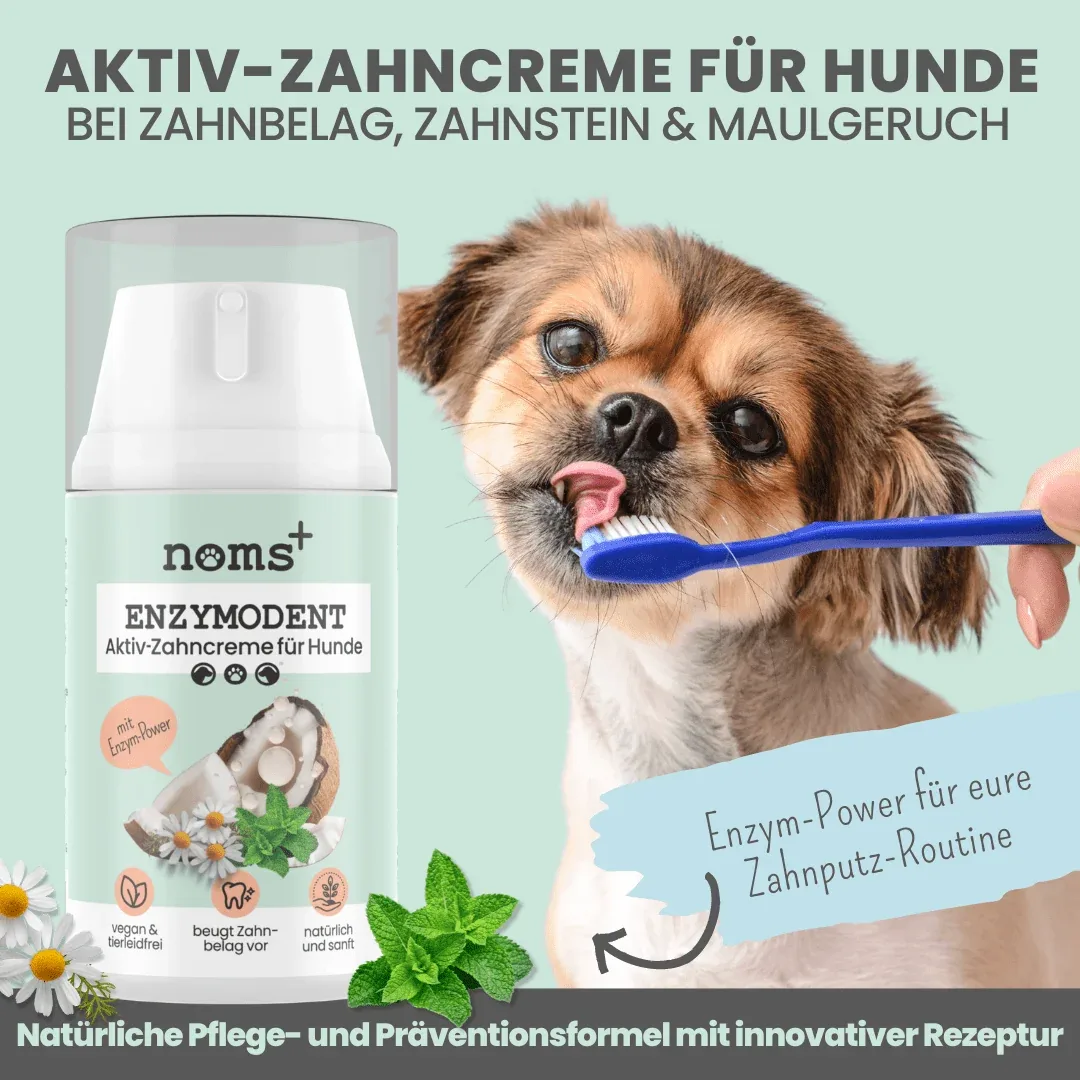 noms+ Enzymodent: Enzymatische Zahnpasta für Hunde mit natürlicher Pflege- und Präventionsformel - Image 2