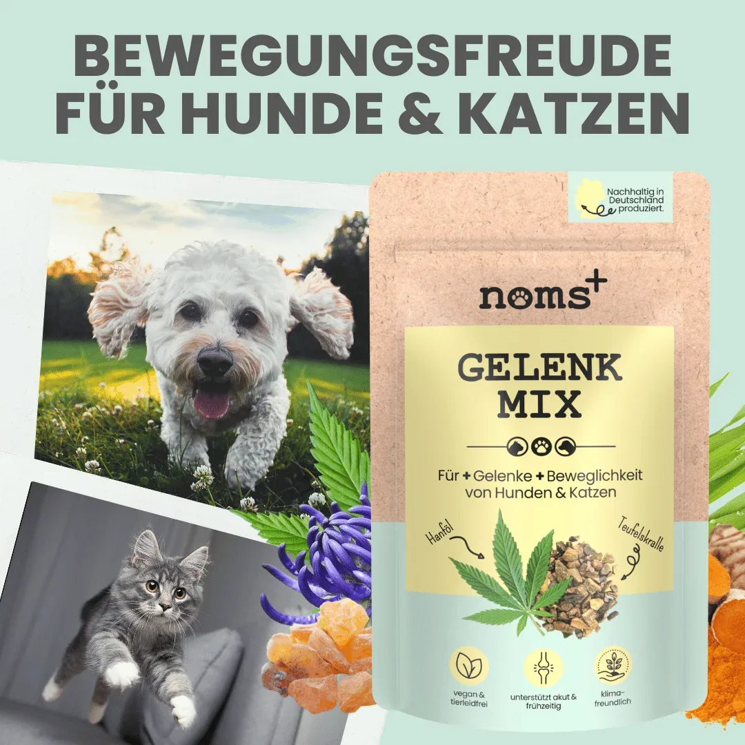 noms+ Gelenkmix Sensitiv & vegan für Hunde und Katzen mit Teufelskralle, Kurkuma & Glucosamin - Image 2