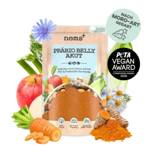 noms+ Präbio Belly Akut: pflanzenbasierte Darmkur für Hunde nach Moro-Art - Ready to eat