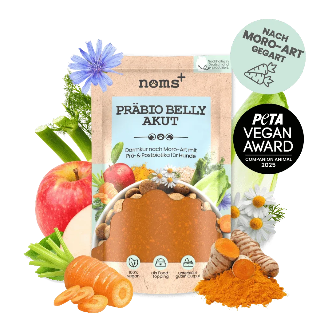 noms+ Präbio Belly Akut: pflanzenbasierte Darmkur für Hunde nach Moro-Art - Ready to eat