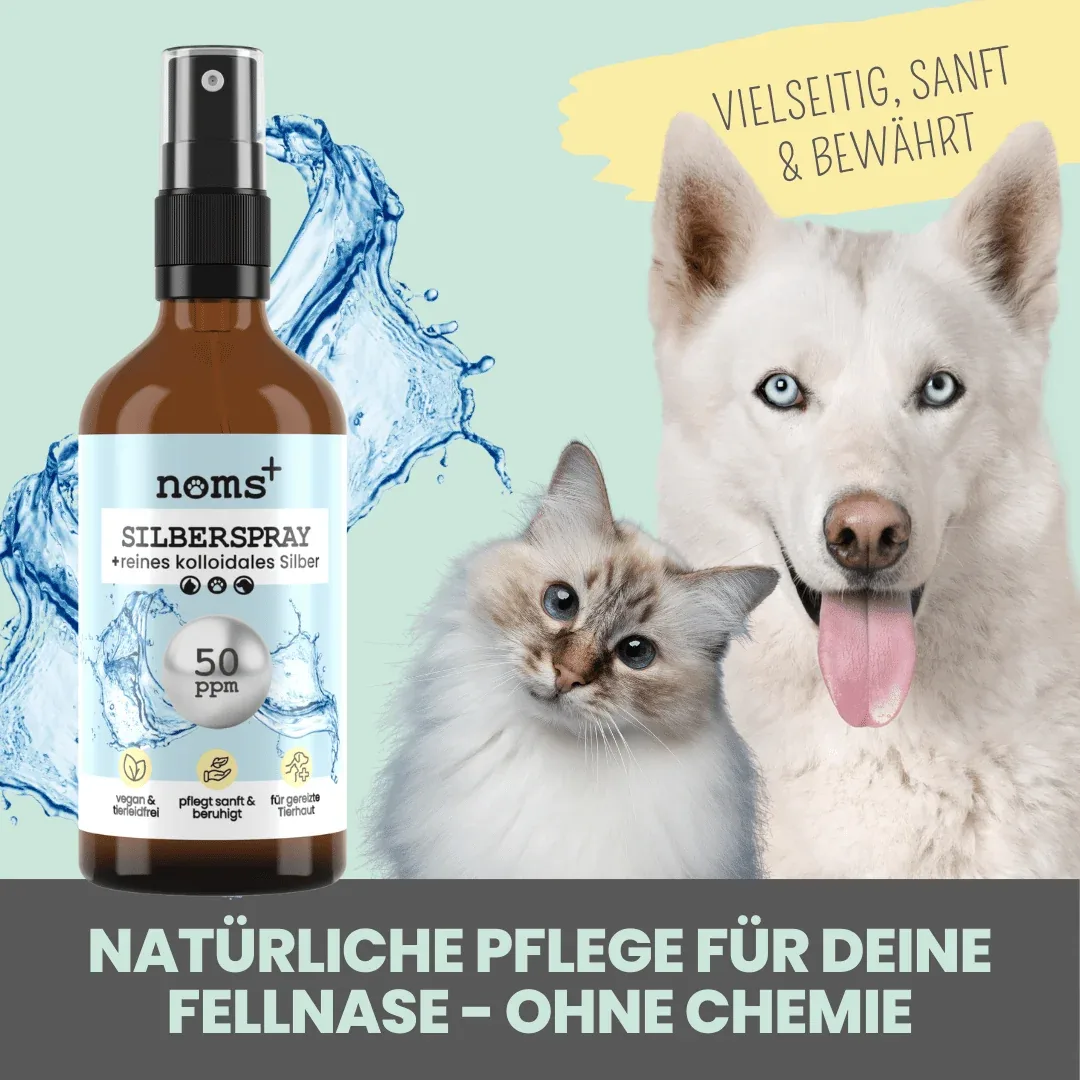 noms+ Silberspray für Hunde und Katzen mit 50ppm (MHD 12/25) - Image 2