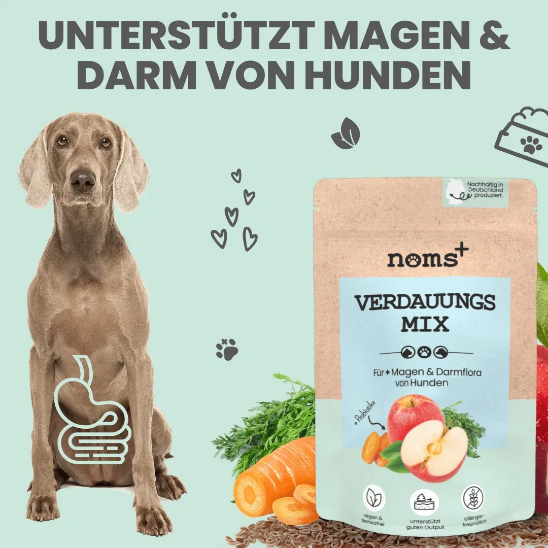 noms+ Verdauungsmix für Hunde als Probiotikum für Magen- & Darmflora - Image 2