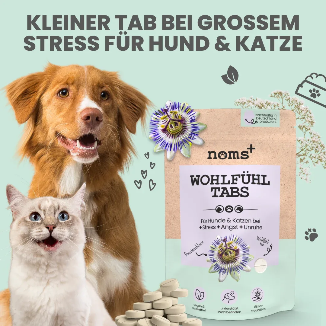 noms+ Wohlfühltabs für Hunde bei Stress, Angst, Unruhe und Hyperaktivität - Image 2