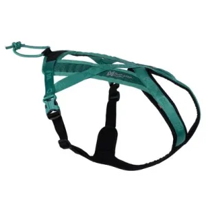 Non-stop dogwear Geschirr Rush Harness teal Größe: 3 (28-32 cm)