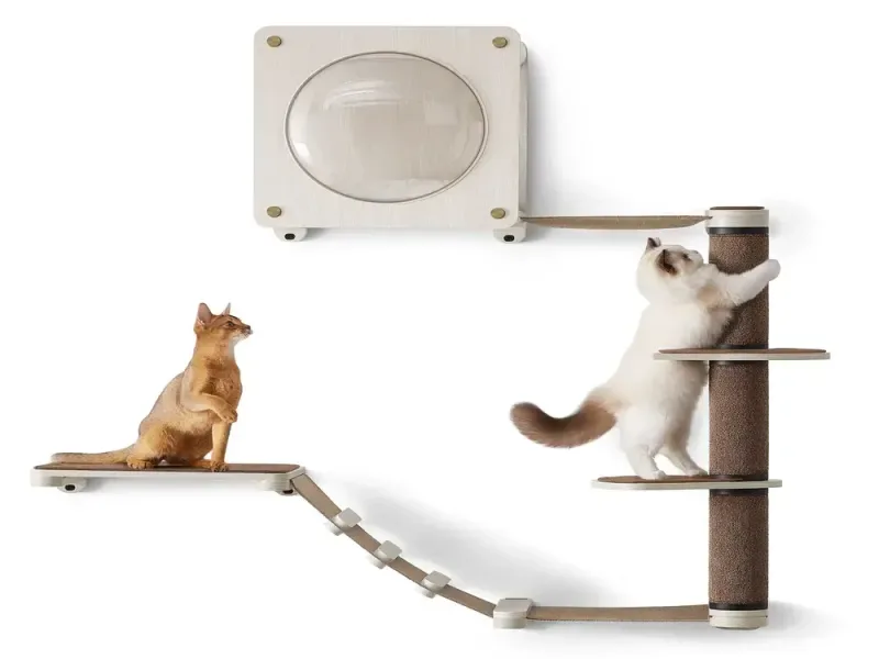 Oasis - Katzenmöbel Kletterwand 5er Set wasserfest und witterungsbeständig - HaustierPro