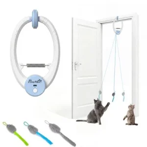 PawHut Intelligenz Katzenspielzeug 1 Stück