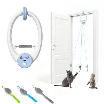 PawHut Intelligenz Katzenspielzeug 1 Stück