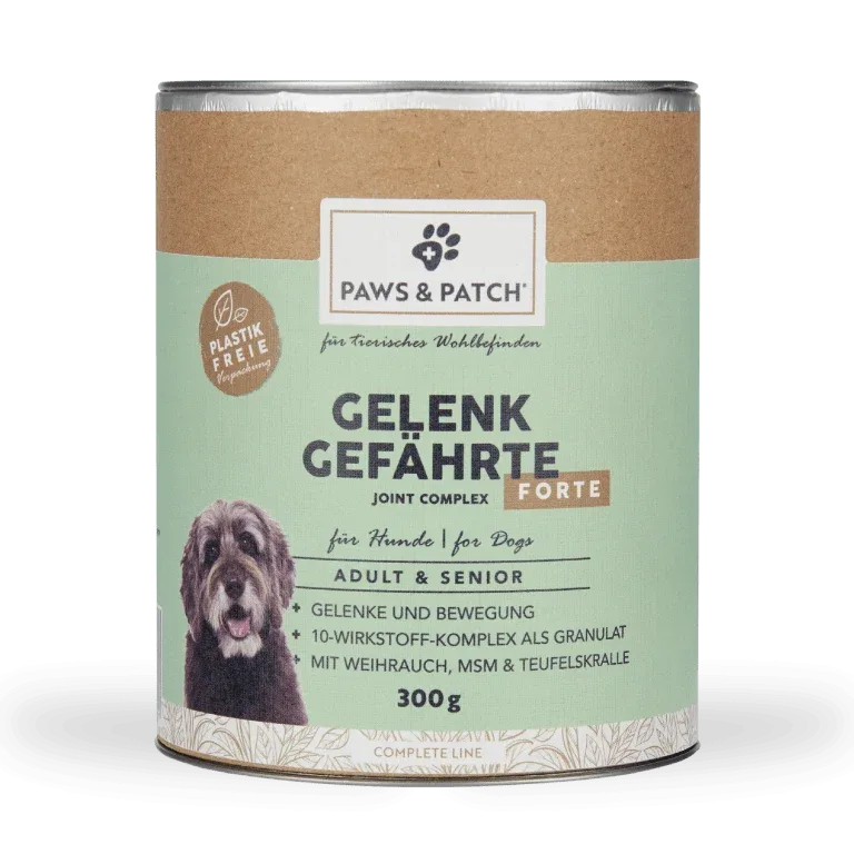PAWS & PATCH GELENK GEFÄHRTE FORTE für Hunde Adult & Senior - Image 2