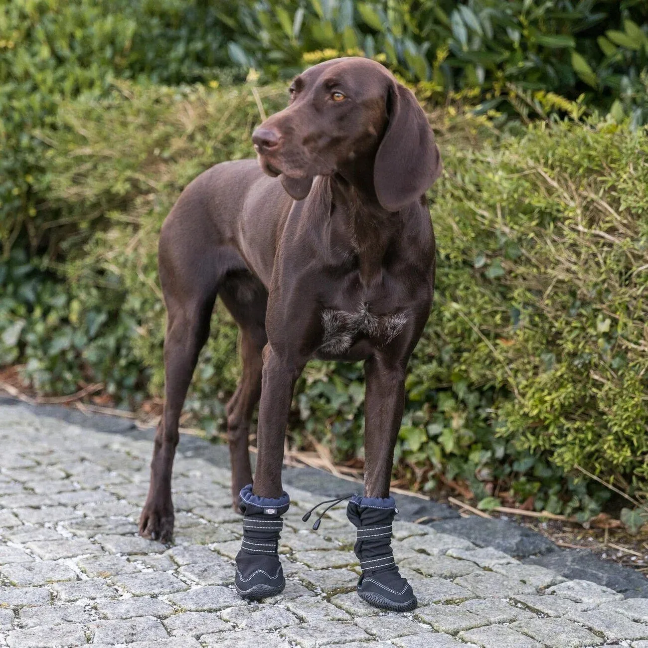 Pfotenschutz Walker Active Long für Hunde mit Profilsohle - Image 2