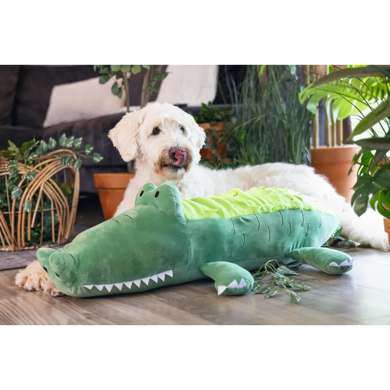 Plüsch Hundespielzeug Dschungel Hide n Seek Krokodil - Image 2