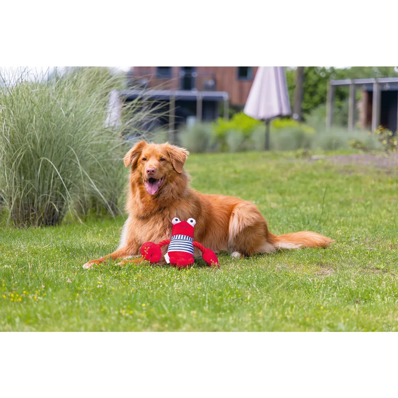 Plüsch Hundespielzeug Hummer Frits - Image 2
